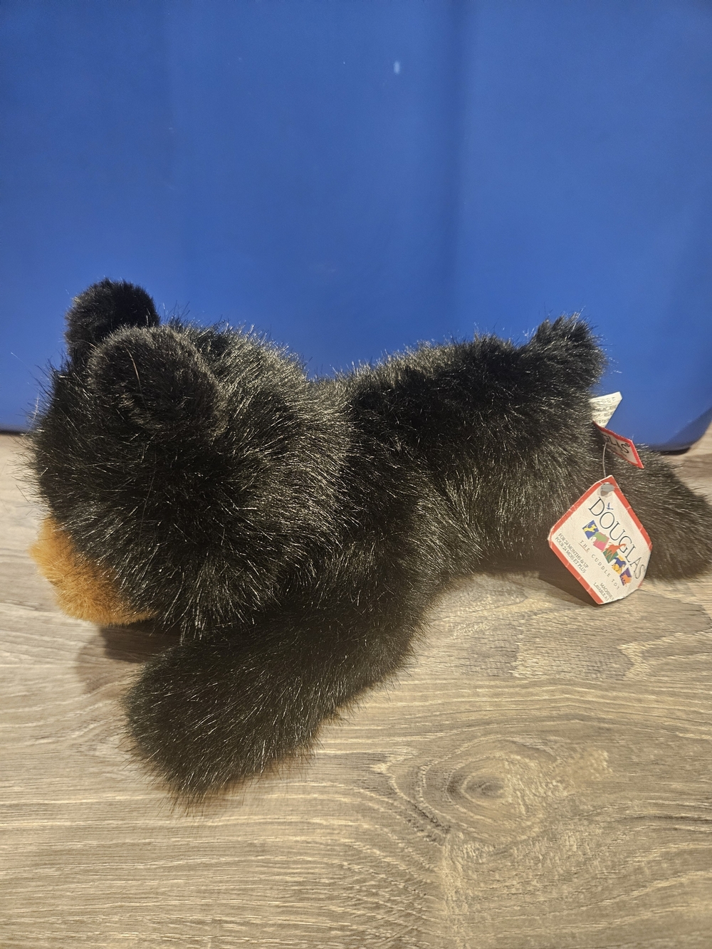 Douglas 14" Black Bear New With Tags